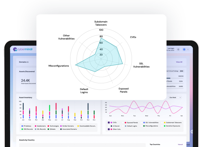 Cybermindr Vulnerability Assessment