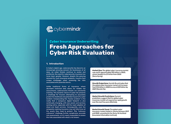 Cyber Insurance Whitepaper 2024 CyberMindr